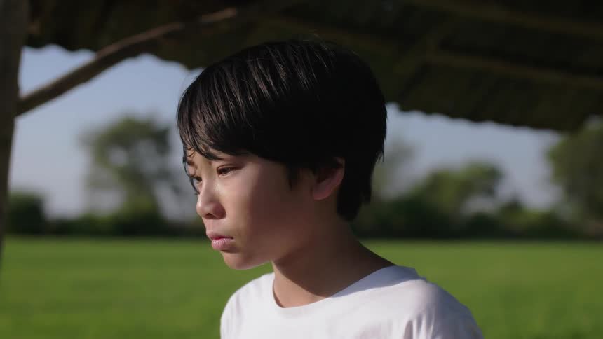A young boy stands outside on a sunny day