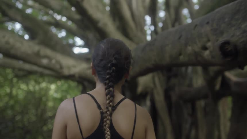 Woman with a braided ponytail walking towards a large old tree