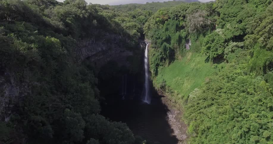 A waterfall is flowing over a cliff in a dense jungle during the day