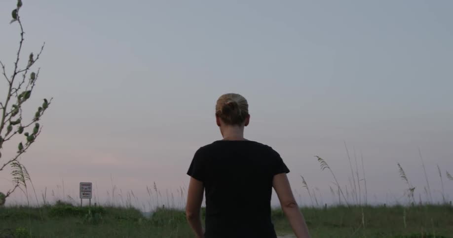 A blond woman walks towards the horizon in an open field