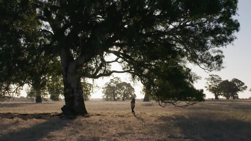 A woman walks beneath a large rural tree