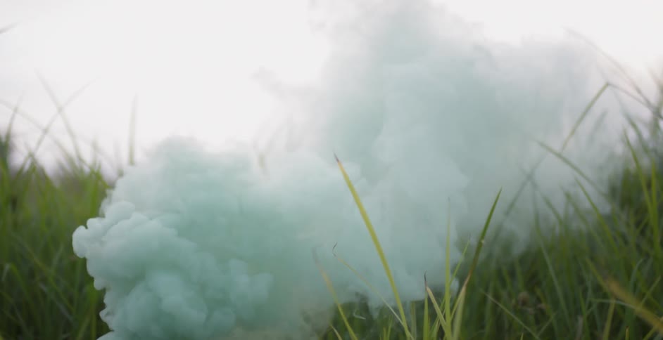 White smoke floats up from the weeds