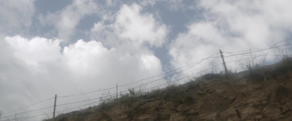 Hill covered in weeds and a cloudy sky
