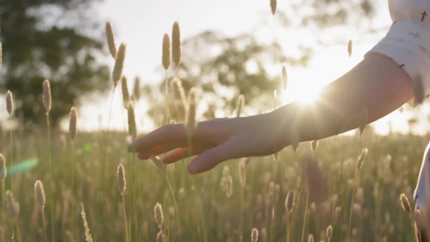 Woman stands in windy field