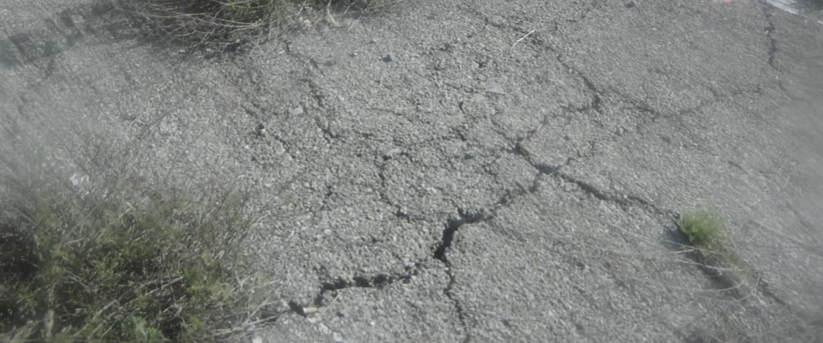 Cement with weeds growing in the cracks