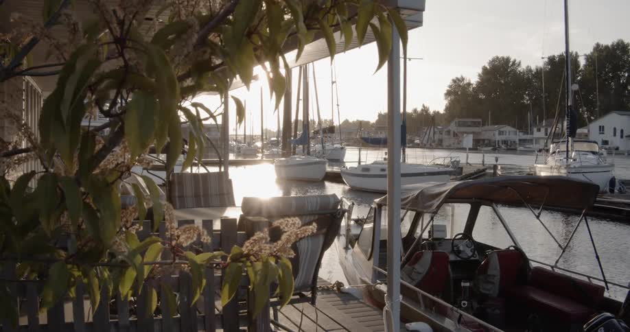 Leaves blow gently in the breeze near the boats in the river
