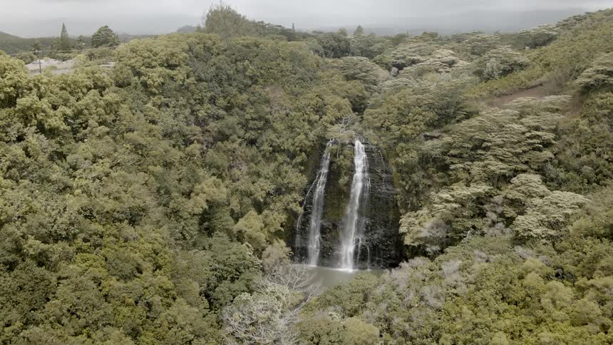 Trees surround a flowing waterfall
