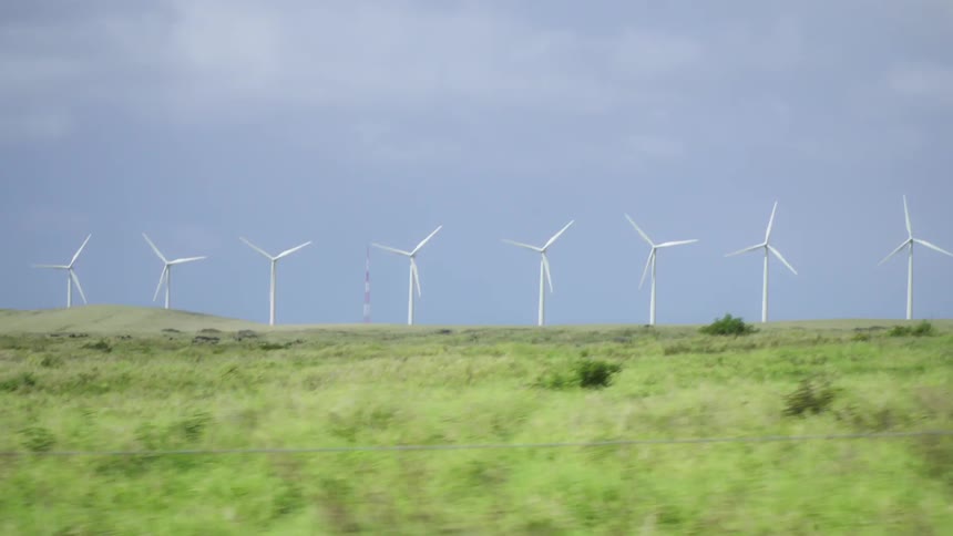 Windmills spin in a large open field