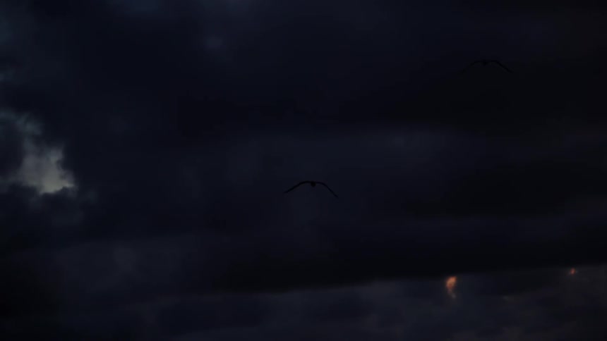 Seagulls are flying under cloudy skies at dusk