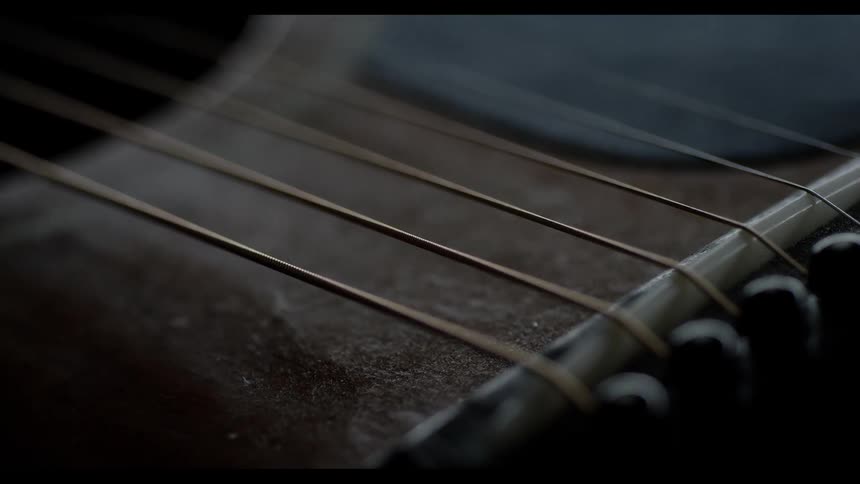 The strings on a musical instrument are moving as they are played