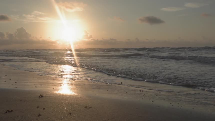 Coastal Beach Morning Landscape