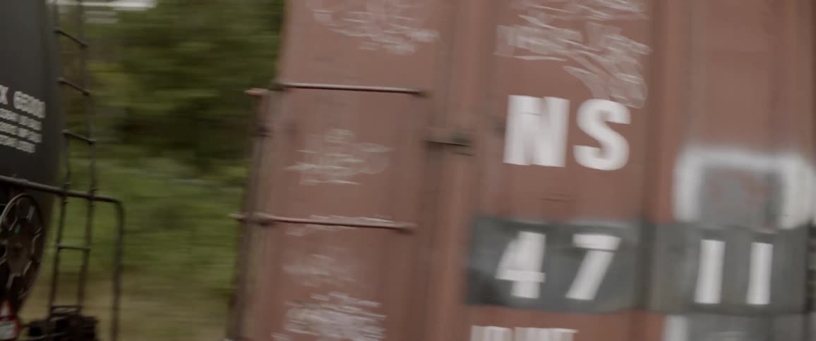 Train rolling through the forest