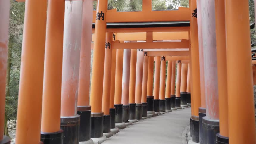 The path through the torii gates is clear on a sunny day