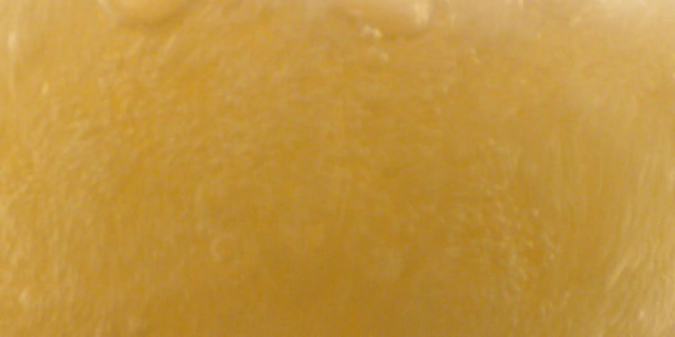Beer pours into a glass mug
