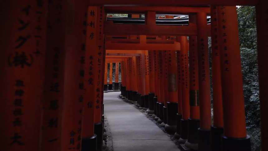 Person walks through the tunnel of carved orange gates outside surrounded by trees