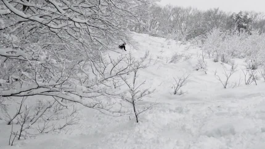 A person skis through the trees in the thick snow
