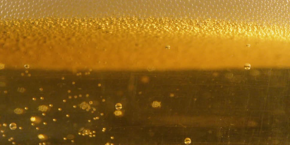 The bubbles rise slowly to the surface
