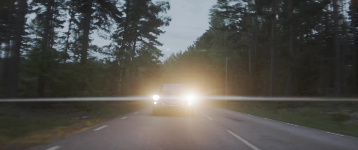 Driving Through Foggy Swedish Forest
