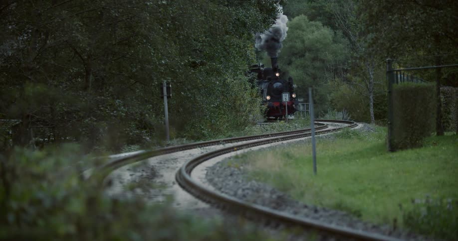 Train Traveling Through Nature