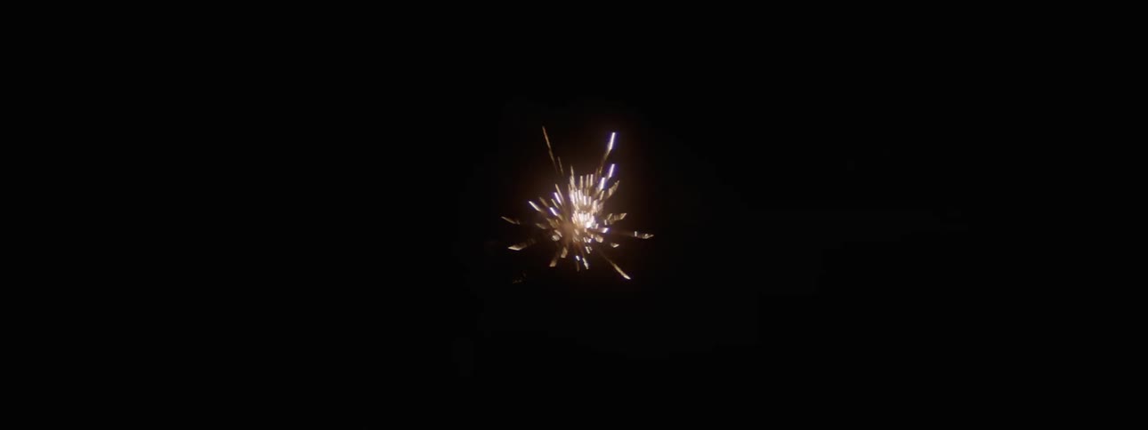 Fireworks in the night sky