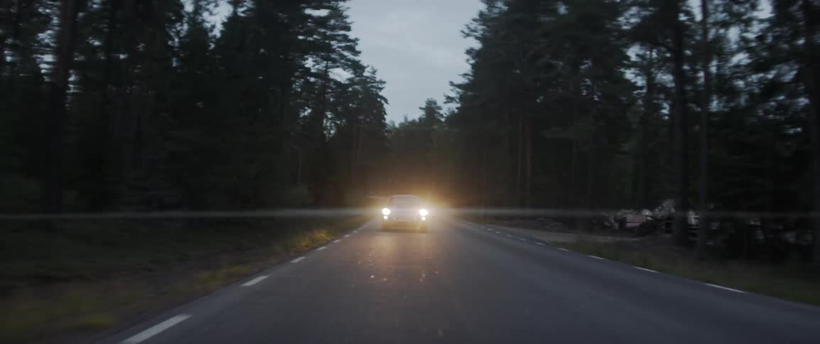 Driving Through Foggy Swedish Forest
