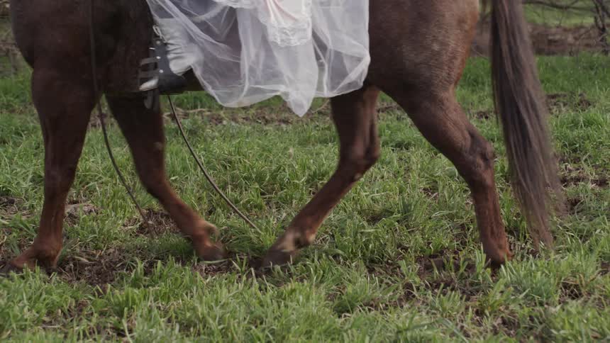 Person wearing a white dress rides a brown horse