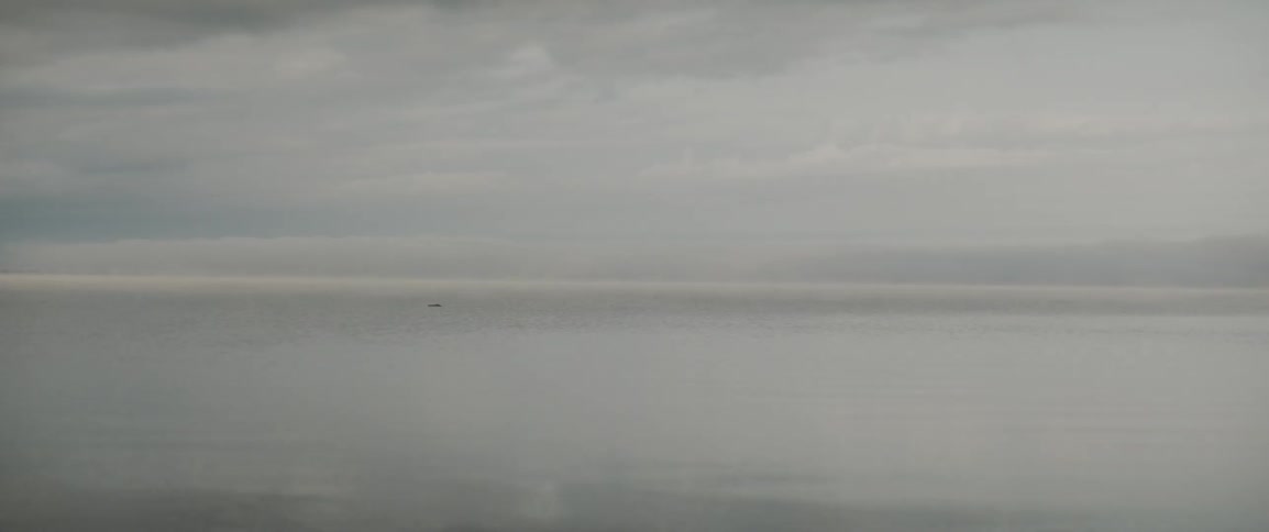 Swedish foggy lake