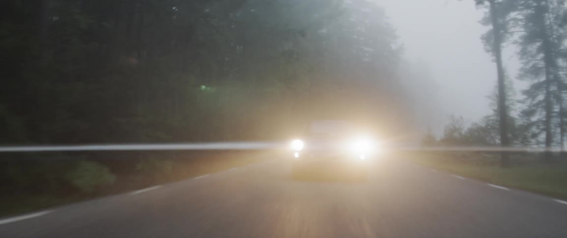 Car driving down the road next to a forest in the fog