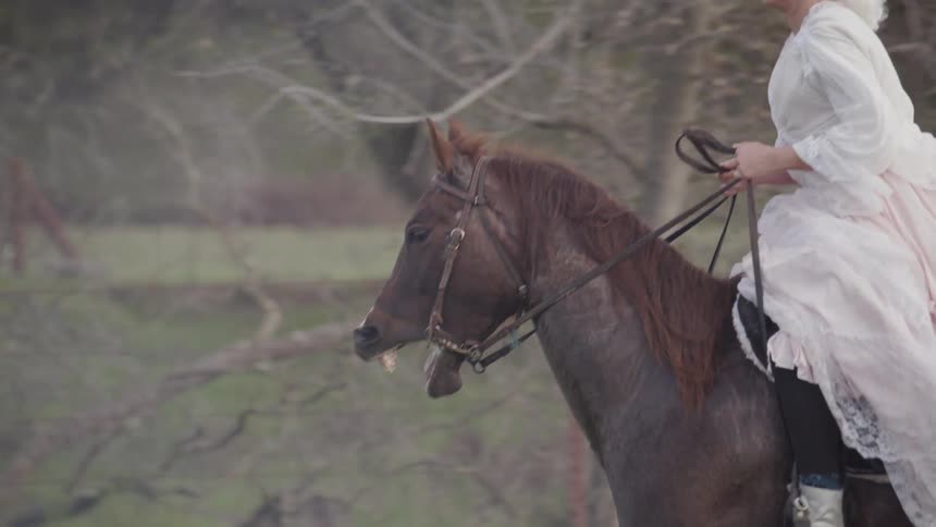 A woman rides on a horse on a foggy day