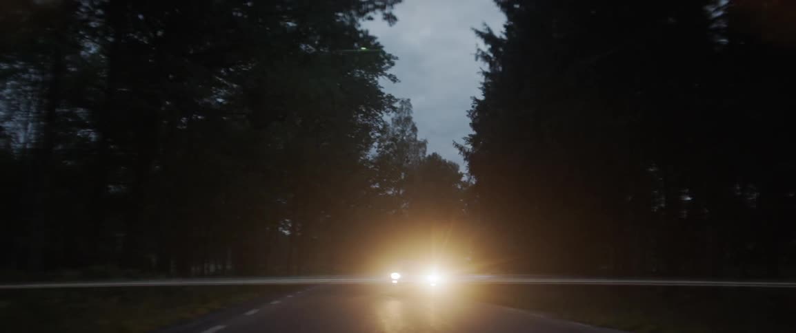 Car travels by the trees in the dark with its headlights on