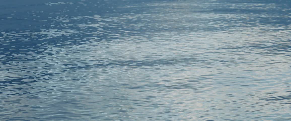 The water's surface ripples and waves