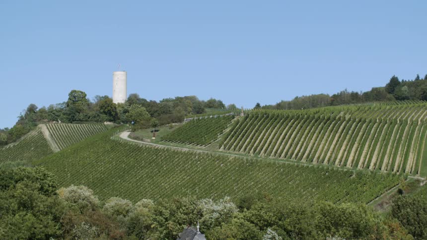 Rows of crops on a sloped field with a silo behind