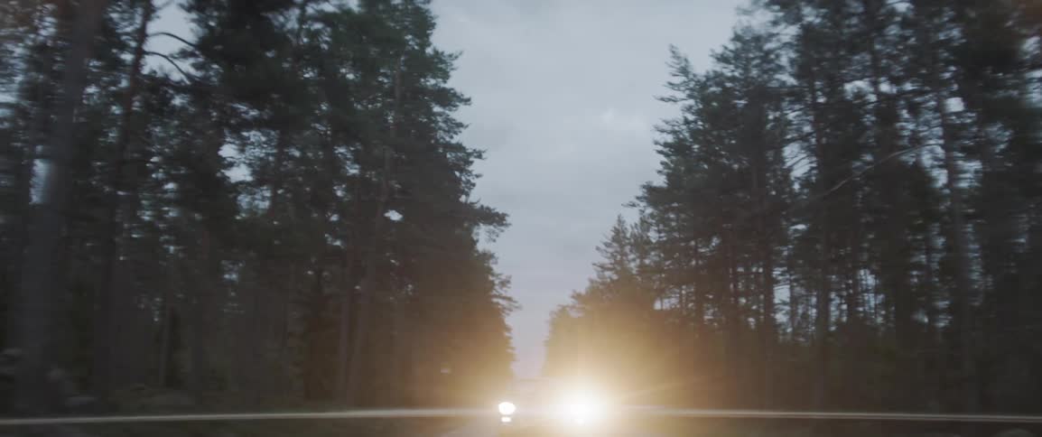 Driving Through Foggy Swedish Forest
