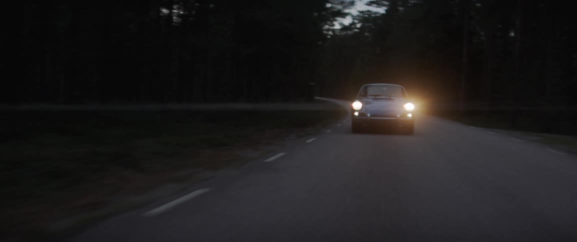 Driving Through Foggy Swedish Forest