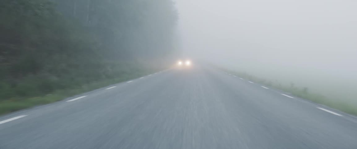 Driving Through Foggy Swedish Forest