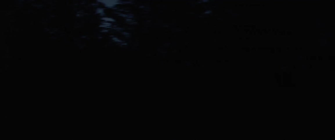 A car drives through a dark forest