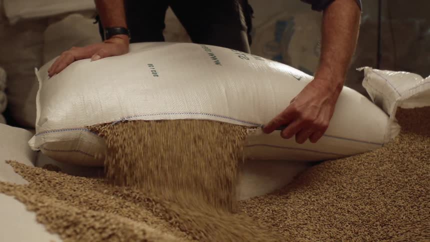 A man cuts open a sack of grains
