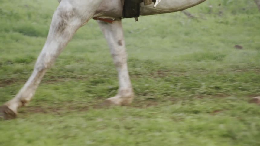 A horse gallops over the grass with a rider wearing a high heeled boot