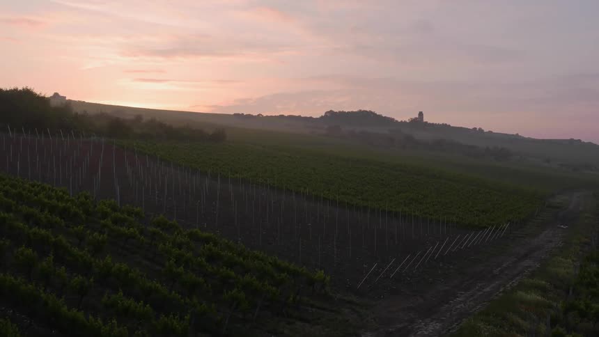 Crops cover the farmland landscape