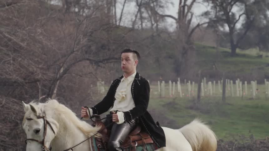 A man rides a horse through a field