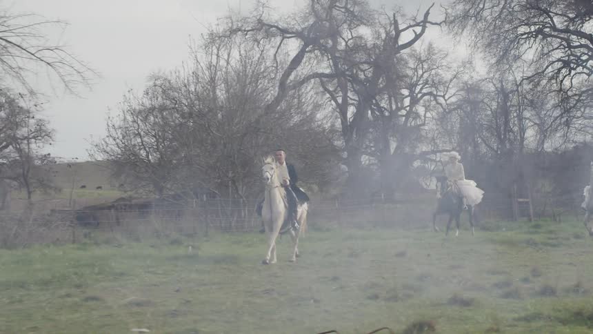 People riding horses during the day