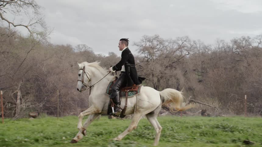 Man rides a white horse in a field near the trees