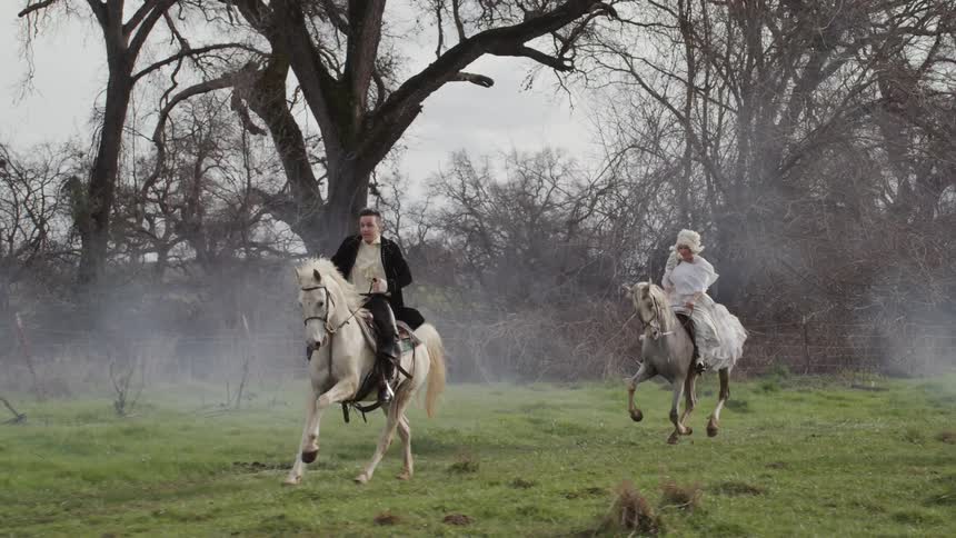 People riding horses during the day