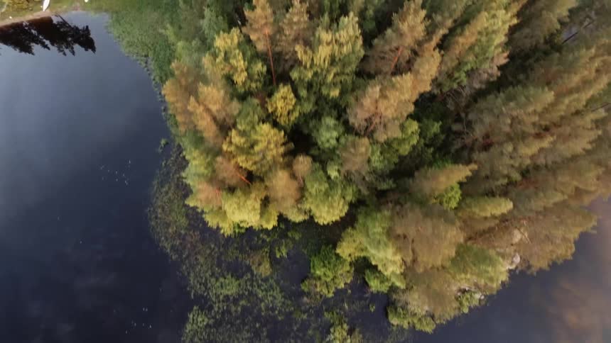 Aerial view of an island