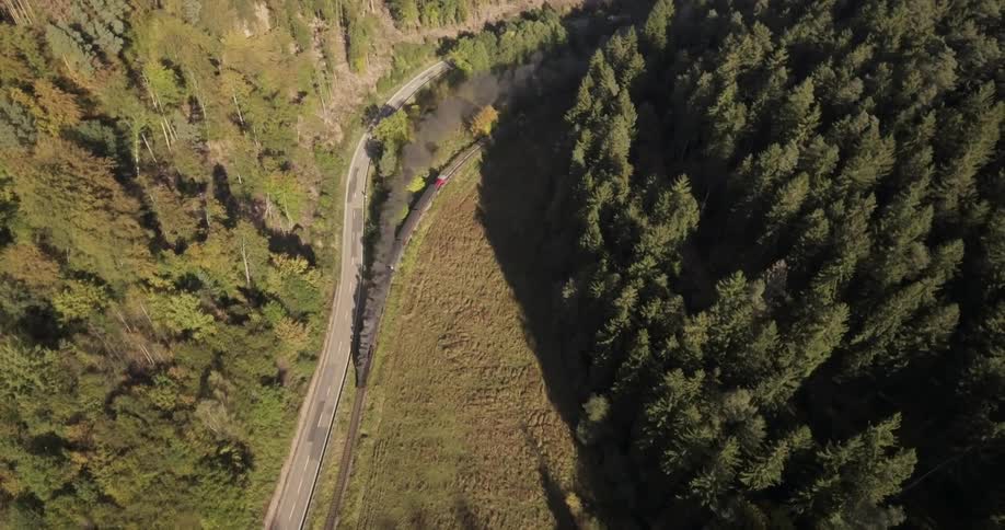 Aerial view of a road in a forest