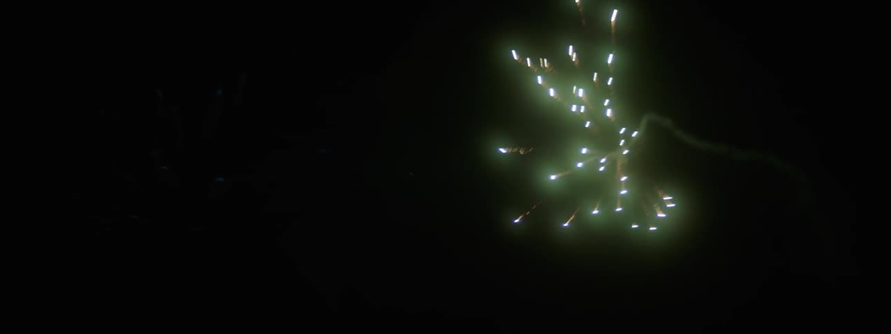 Fireworks in the night sky