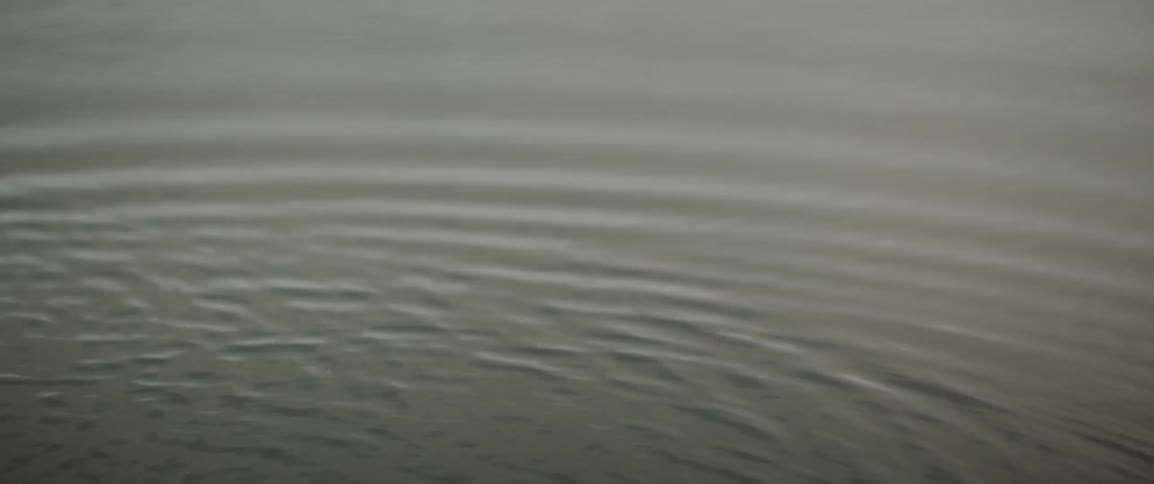 Ripples spread across the surface of the water