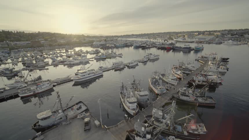 Low traverse over ships and boats docked at a commercial fishing port