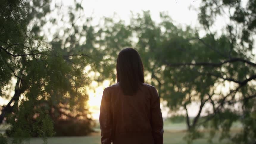 Woman standing in a meadow watching the sunset