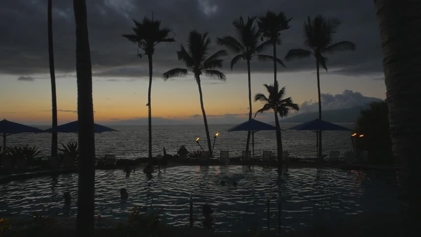 People swimming in a pool located next to the ocean and surrounded by palm trees at sunset